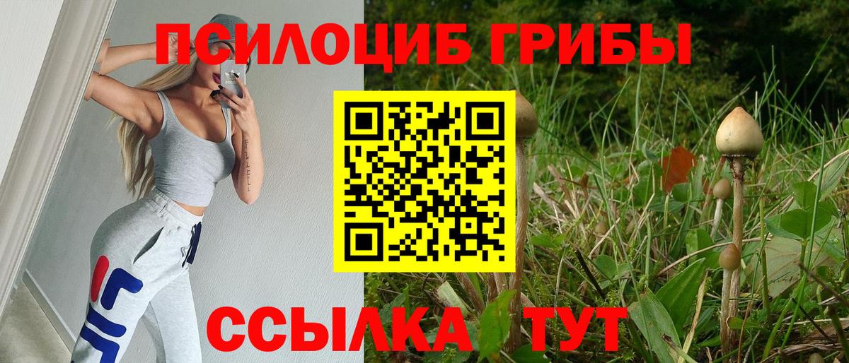 Галлюциногенные грибы GOLDEN TEACHER  Галлюциногенные грибы мицелий  Вход с VPN  Химки 